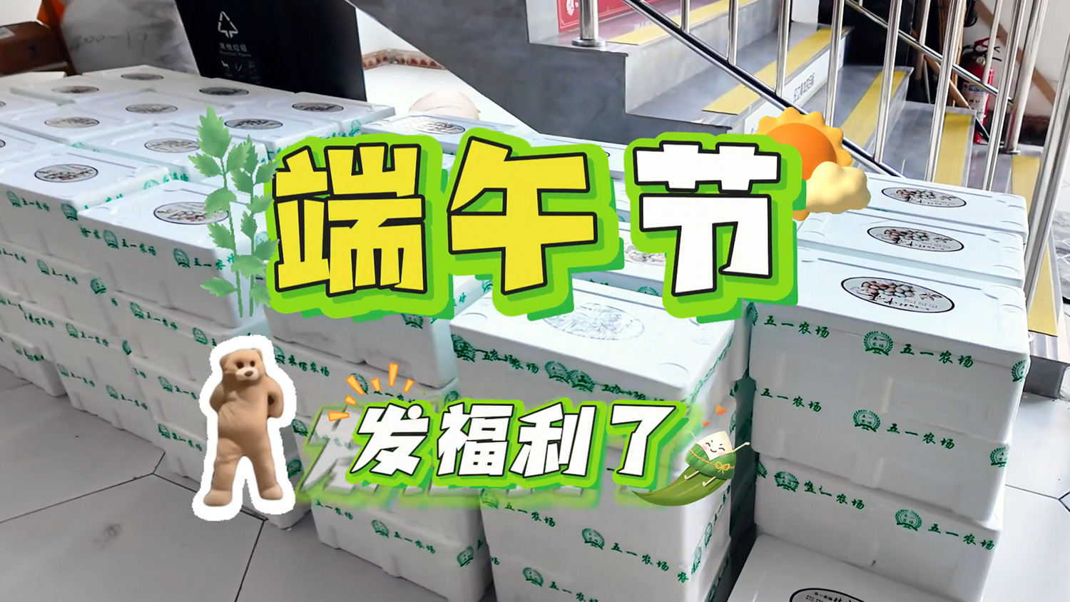 2026年公司活动